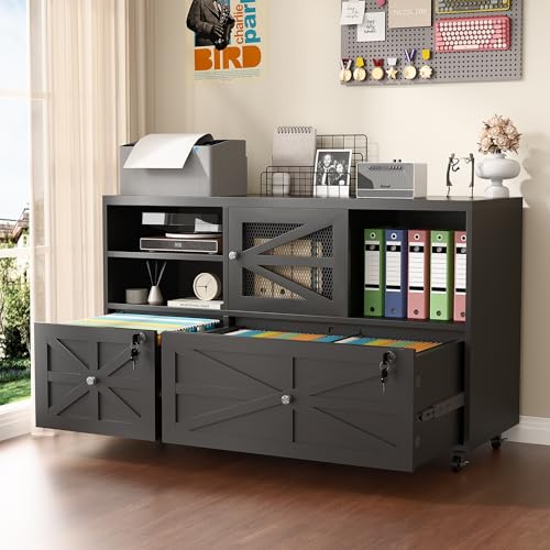 2段引き出し式ファームハウスファイルキャビネット（鍵付き）、 - File Cabinet Lateral のレビューと価格