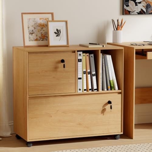 2つの引き出しと2つのオープンシェルフ付きモバイルファイルキ - File Cabinet Lateral のレビューと価格