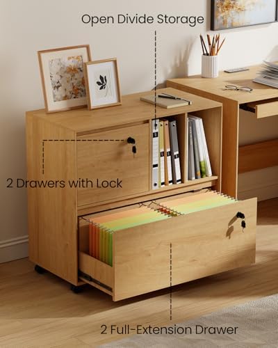 2つの引き出しと2つのオープンシェルフ付きモバイルファイルキ - File Cabinet Lateral のレビューと価格